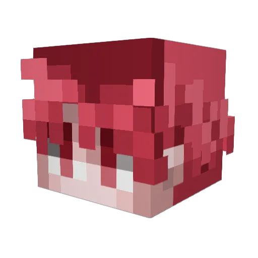 spiderleo23 Minecraft avatar head, 3D render
