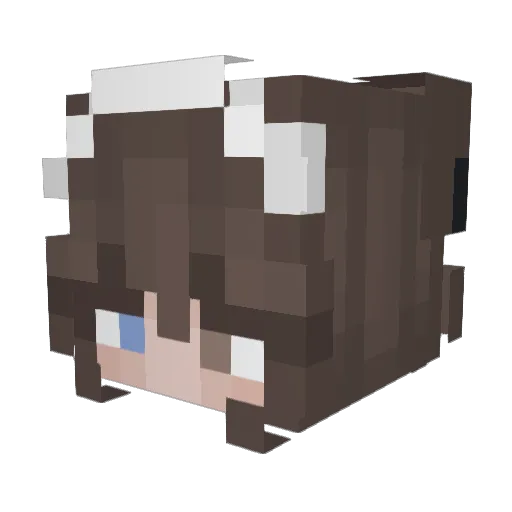spiderninja112 Minecraft avatar head, 3D render