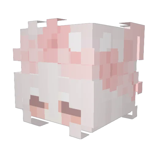 spiderw3b Minecraft avatar head, 3D render