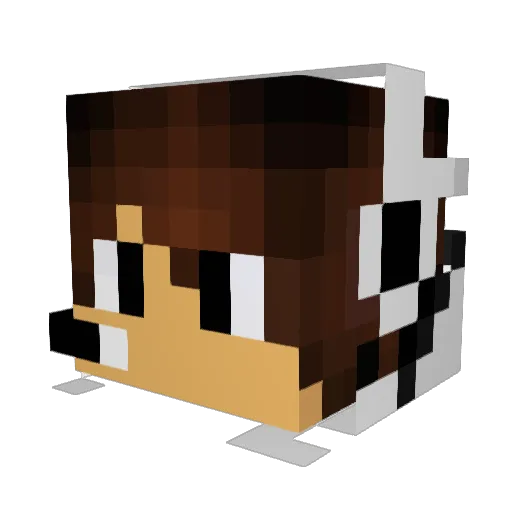 spiderwand09 Minecraft avatar head, 3D render