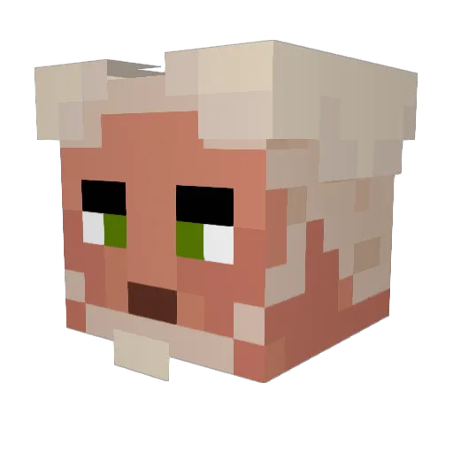 spidey9006 Minecraft avatar head, 3D render