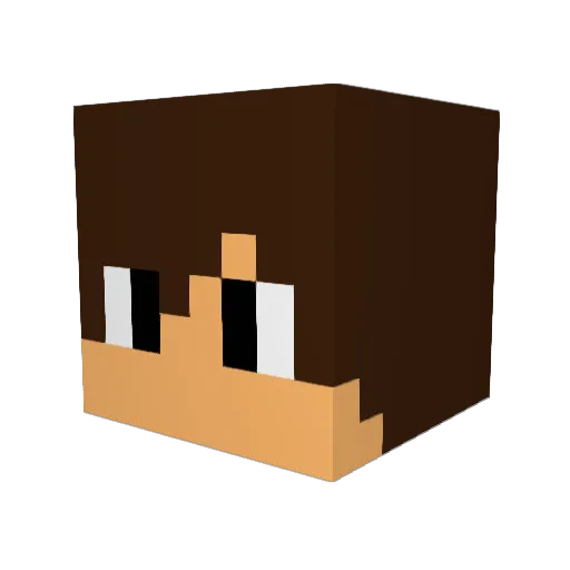 spidi2222 Minecraft avatar head, 3D render