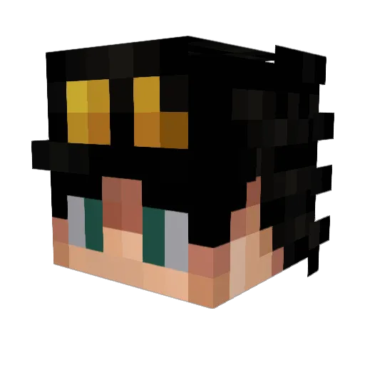 spidy1688 Minecraft avatar head, 3D render