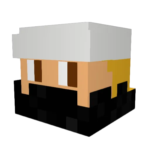 spieler5_dave Minecraft avatar head, 3D render