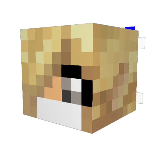 spike002 Minecraft avatar head, 3D render