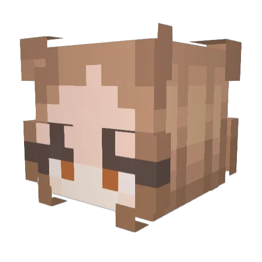 spiky__cactus Minecraft avatar head, 3D render