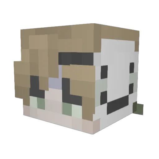 spilledmilkkk Minecraft avatar head, 3D render