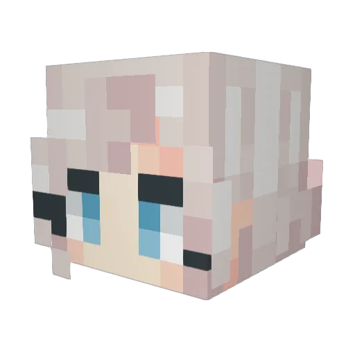 spillehaj Minecraft avatar head, 3D render