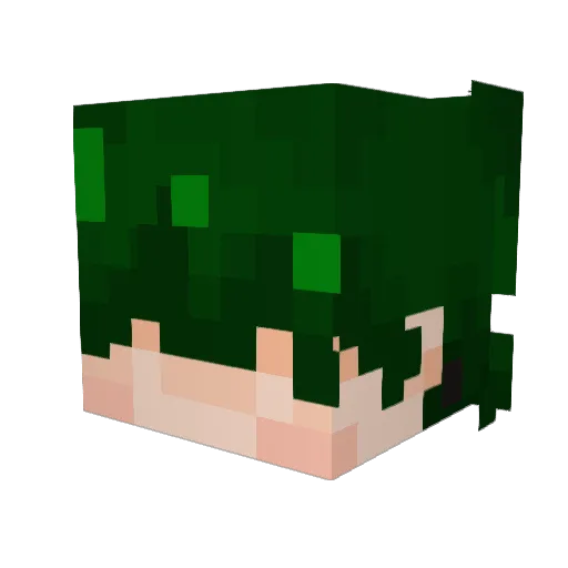 spiltapplejuice Minecraft avatar head, 3D render