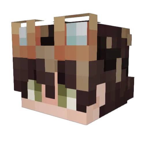 spinja3005 Minecraft avatar head, 3D render