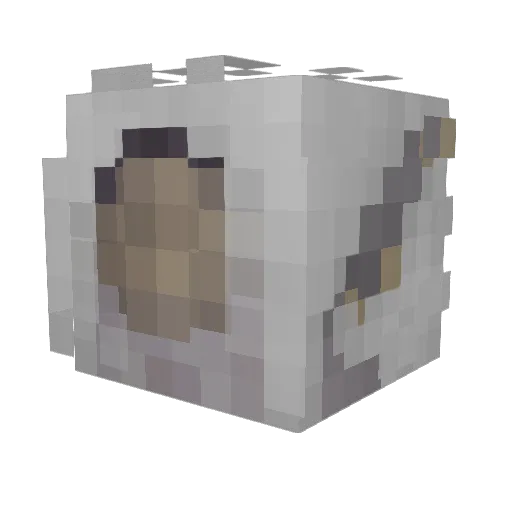 spinzir Minecraft avatar head, 3D render