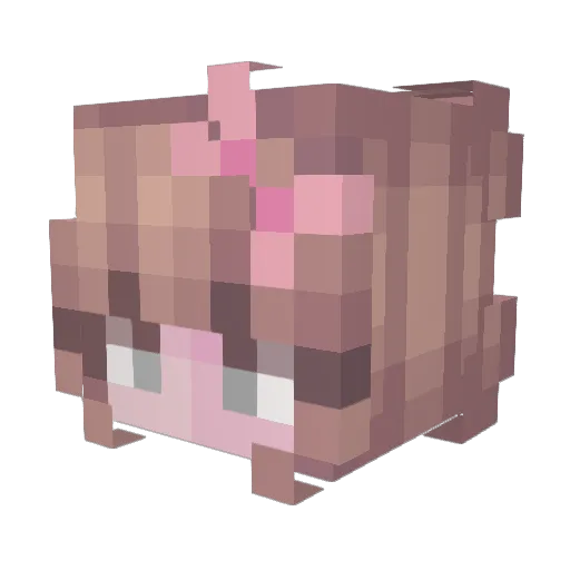 spiralinia Minecraft avatar head, 3D render