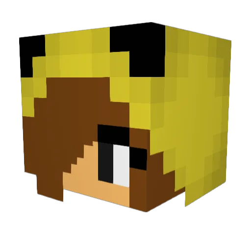 spirit27 Minecraft avatar head, 3D render