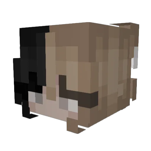 spirxl Minecraft avatar head, 3D render