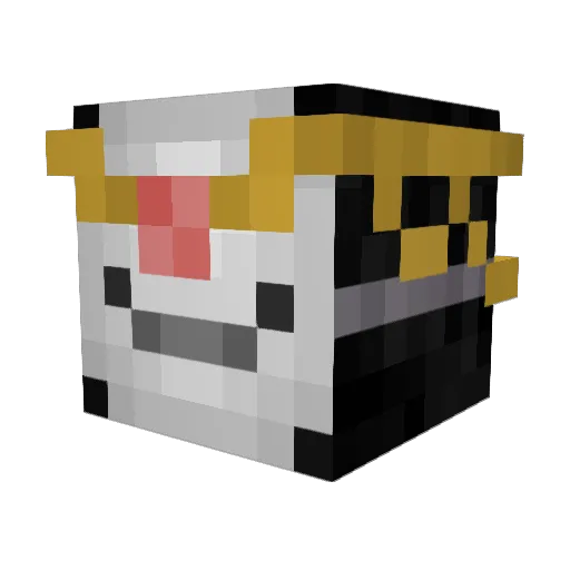 spitefulsloth_ Minecraft avatar head, 3D render