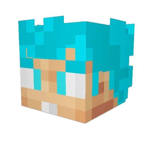 spitsthebeast Minecraft avatar head, 3D render