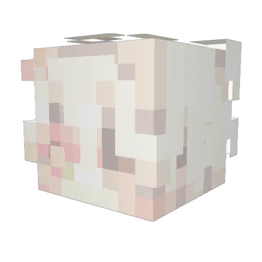 spittybitty Minecraft avatar head, 3D render