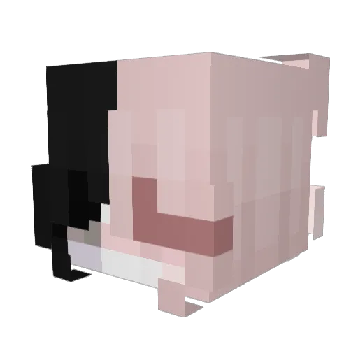 spl1ttis Minecraft avatar head, 3D render