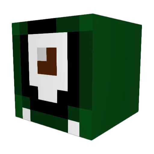 splashdowner Minecraft avatar head, 3D render