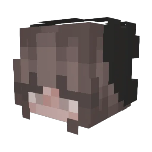 splashire Minecraft avatar head, 3D render