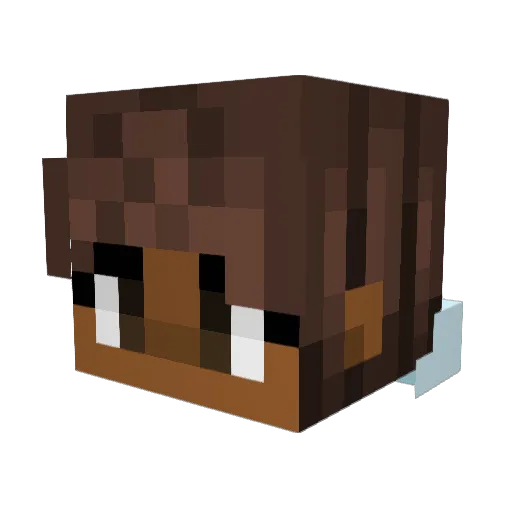 splat810 Minecraft avatar head, 3D render