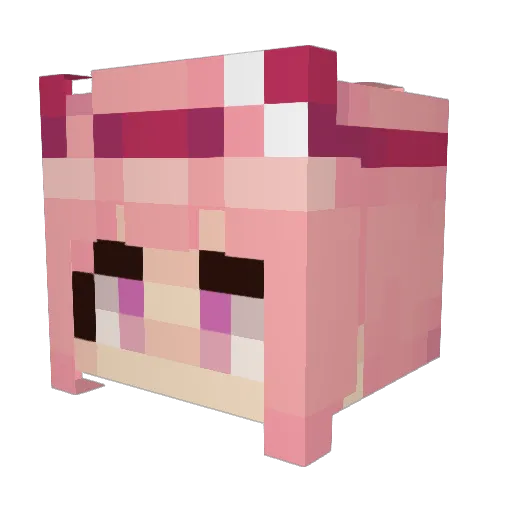 splatgirlbinns Minecraft avatar head, 3D render