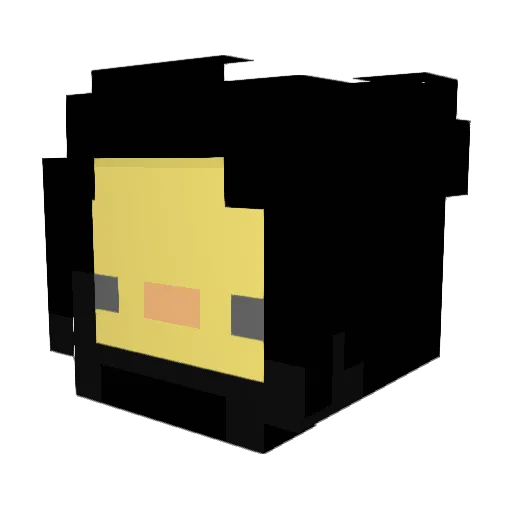 splatnicspace Minecraft avatar head, 3D render
