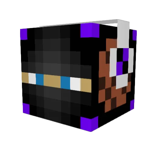 splavacado2319 Minecraft avatar head, 3D render