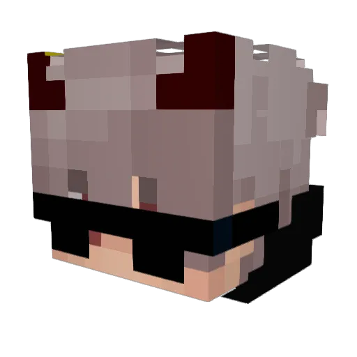 splbm2 Minecraft avatar head, 3D render