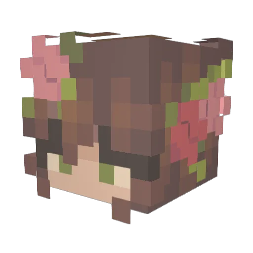 splendors Minecraft avatar head, 3D render