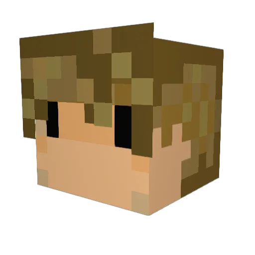 splexiface Minecraft avatar head, 3D render