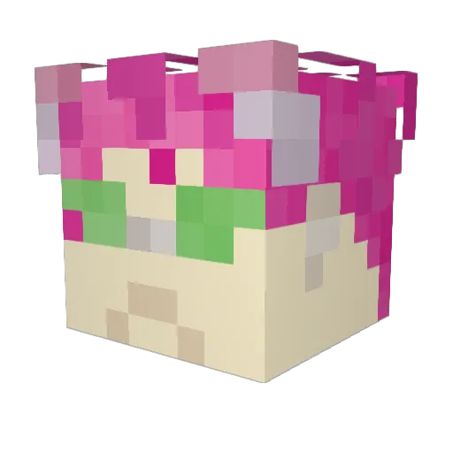 splishmom Minecraft avatar head, 3D render