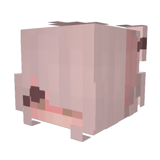 splitinhlf Minecraft avatar head, 3D render