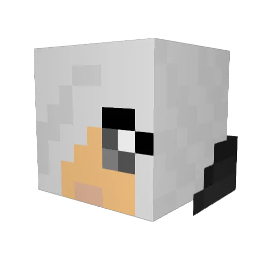 splitnebula123 Minecraft avatar head, 3D render