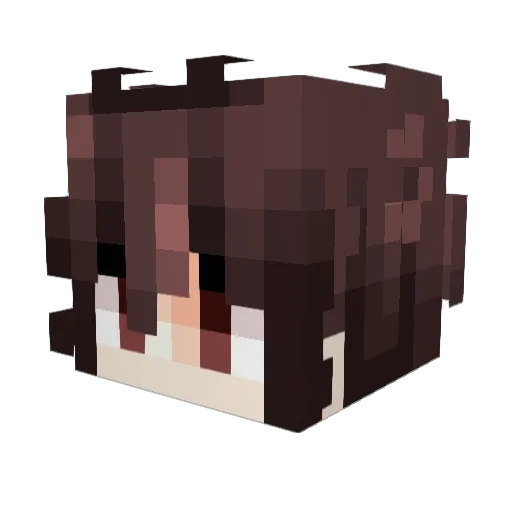 splittheforge Minecraft avatar head, 3D render