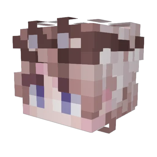 splonderland Minecraft avatar head, 3D render