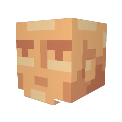 splorgs Minecraft avatar head, 3D render