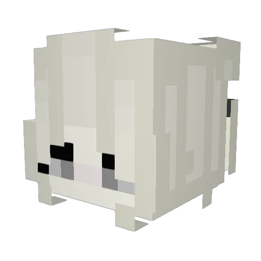 sployet Minecraft avatar head, 3D render