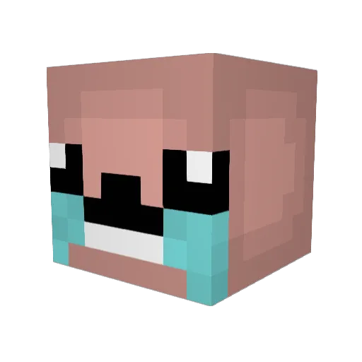 spngbobluvr2 Minecraft avatar head, 3D render