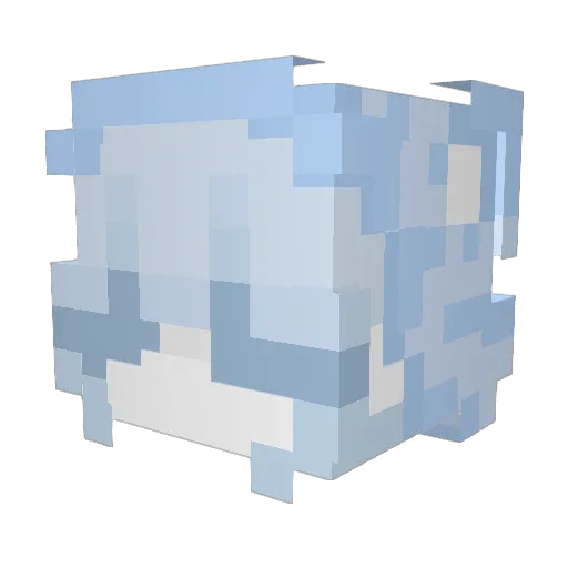 spoconagabiuwu Minecraft avatar head, 3D render