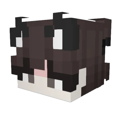 spodington Minecraft avatar head, 3D render