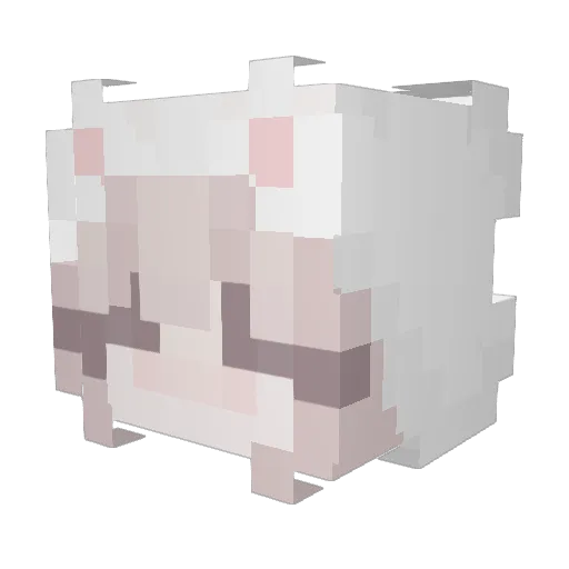 spoiledbunny Minecraft avatar head, 3D render