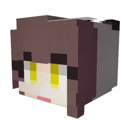 sponge1217 Minecraft avatar head, 3D render