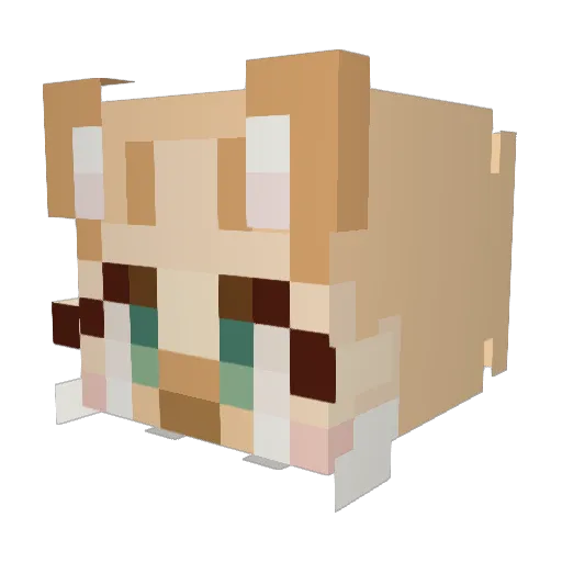 spongebasil Minecraft avatar head, 3D render