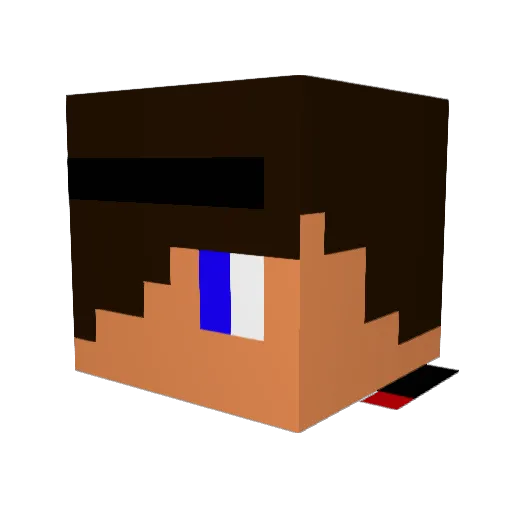 spongebob214 Minecraft avatar head, 3D render