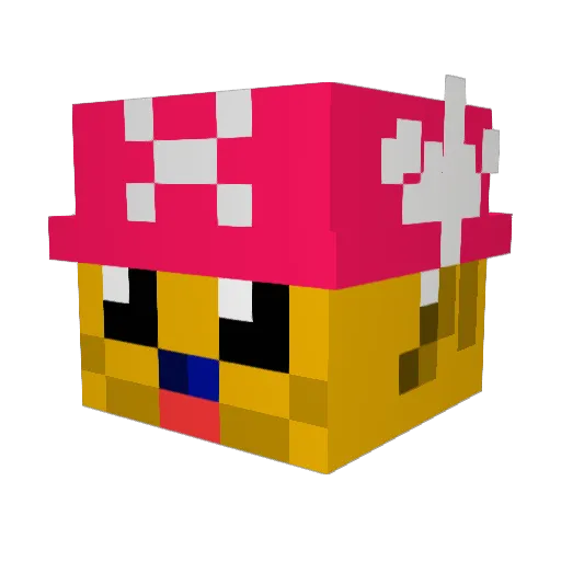sponges4life Minecraft avatar head, 3D render