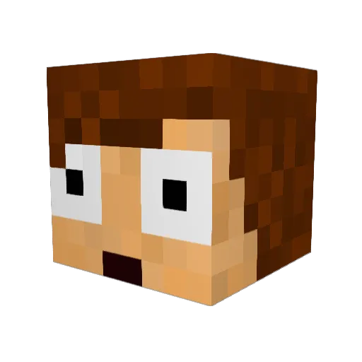 sponges Minecraft avatar head, 3D render