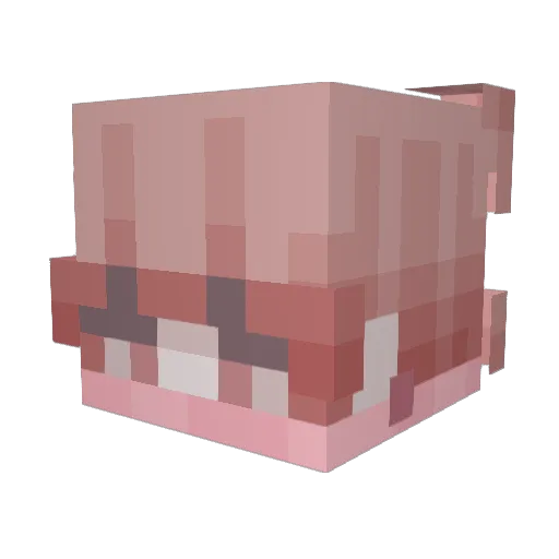 sponkcycl Minecraft avatar head, 3D render
