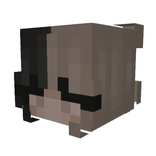 spoob_x Minecraft avatar head, 3D render