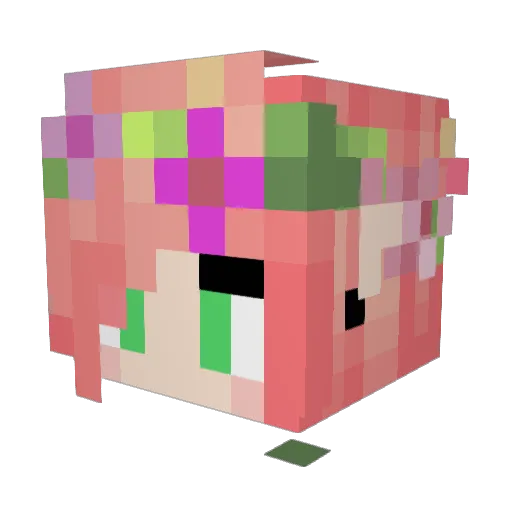 spoodledoon Minecraft avatar head, 3D render